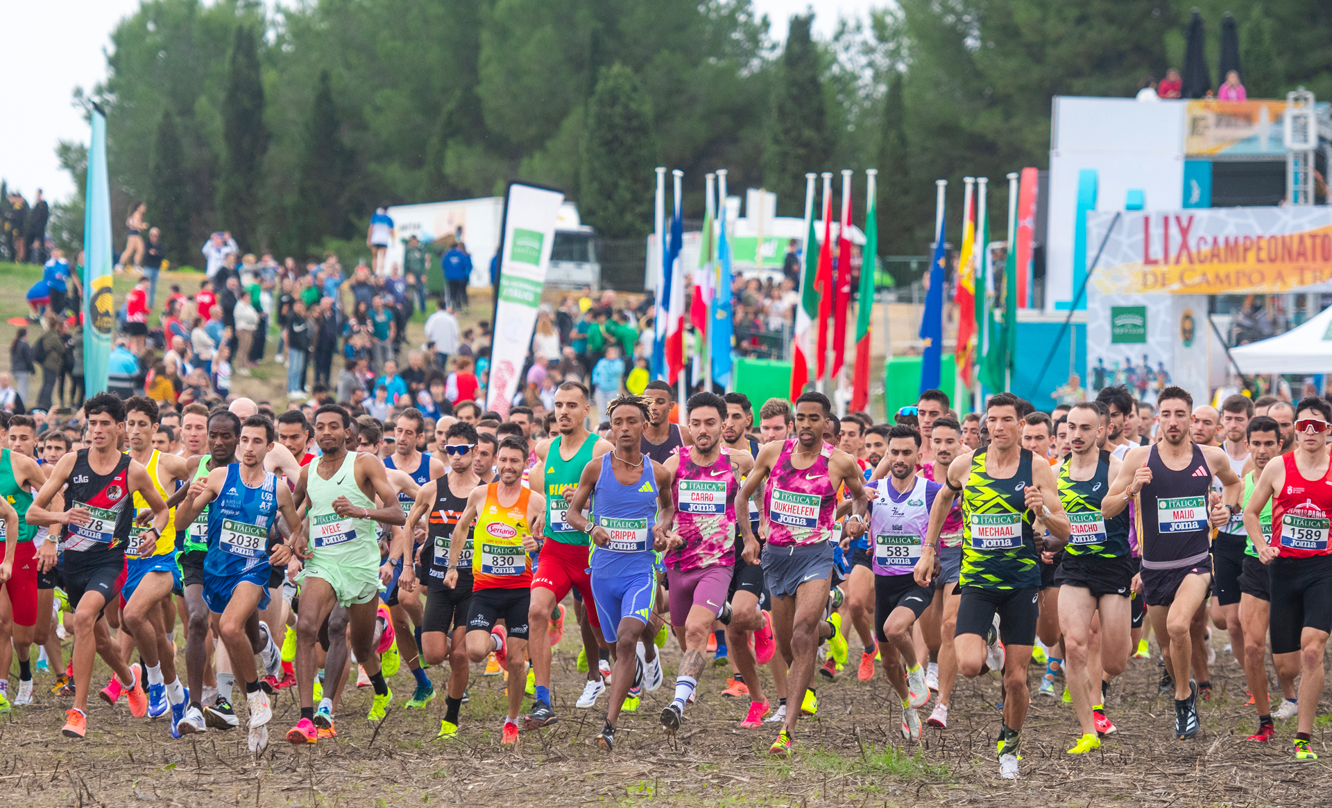 Cross Clubes Hombres 2024