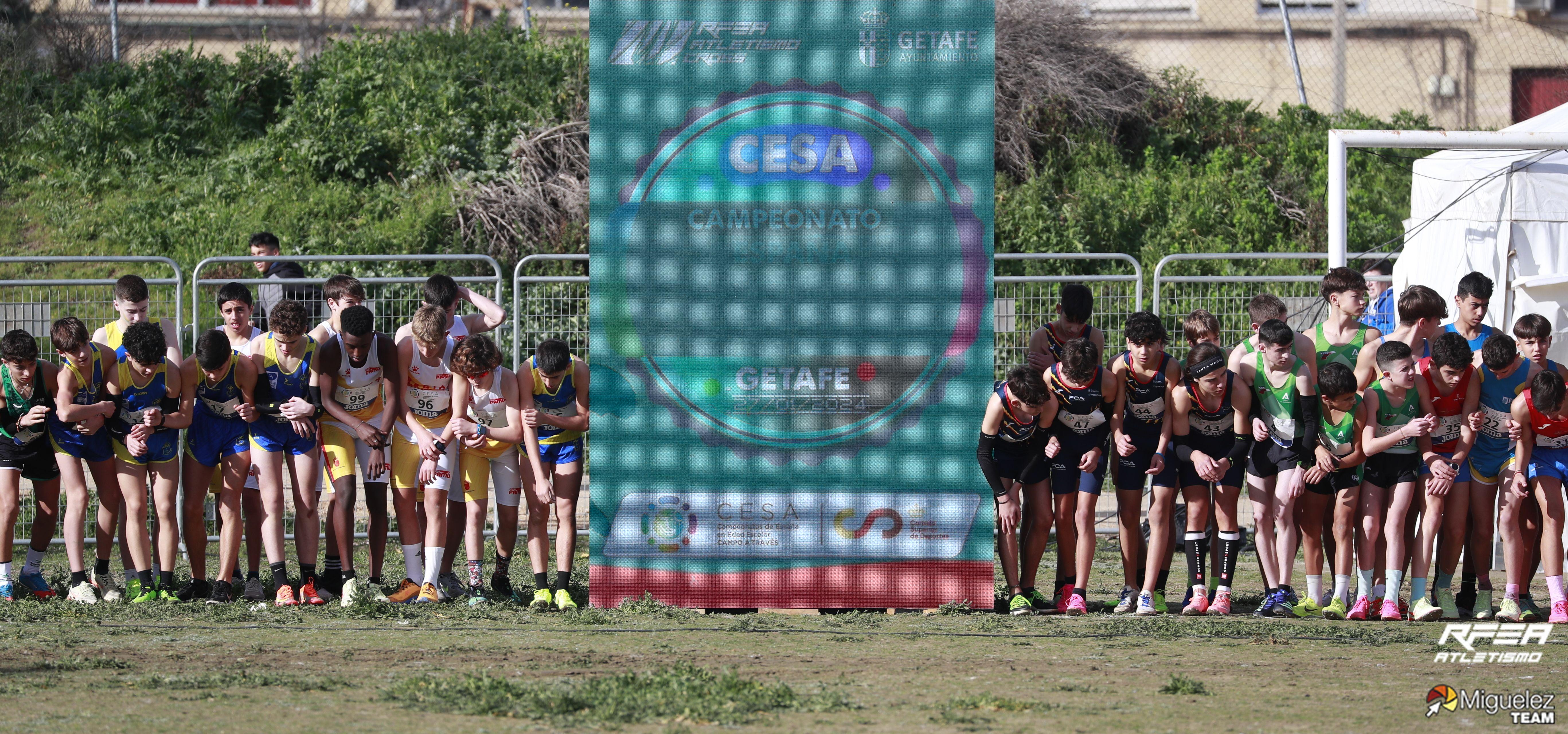 Galería de Fotos - CESA Getafe