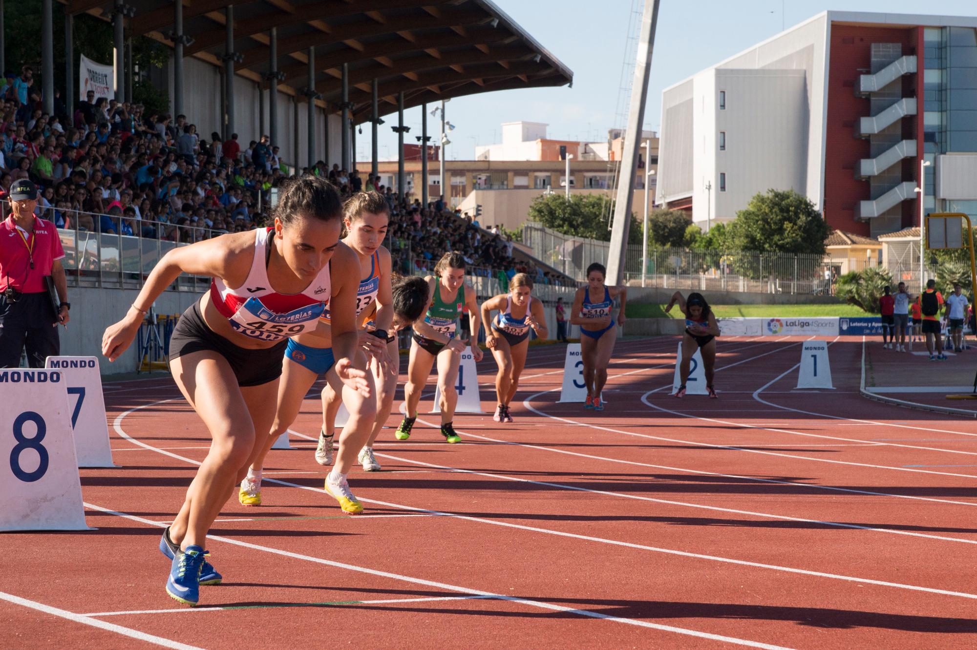 Torrent 2017 (sub23)