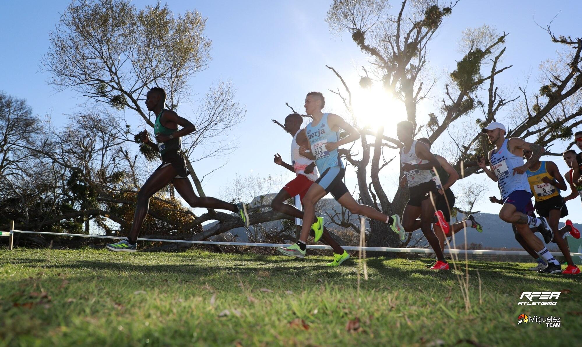 Cross Soria Ouassim Carro