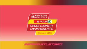 Toda la información del Eurocross - Bruselas