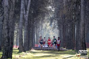 Campeonato de España Campo a Través Individual y Federaciones