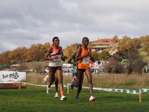 Soria, cita clave antes del Europeo y Mundial de cross