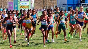 Campeonato del Mundo de Campo a Través (Tallahassee)