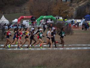 El Cross de Soria se celebrará el 15 de noviembre